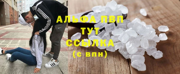 хмурый Осинники