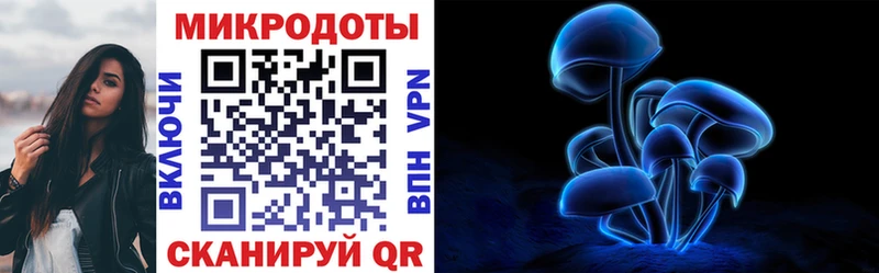 Псилоцибиновые грибы Psilocybe Бавлы